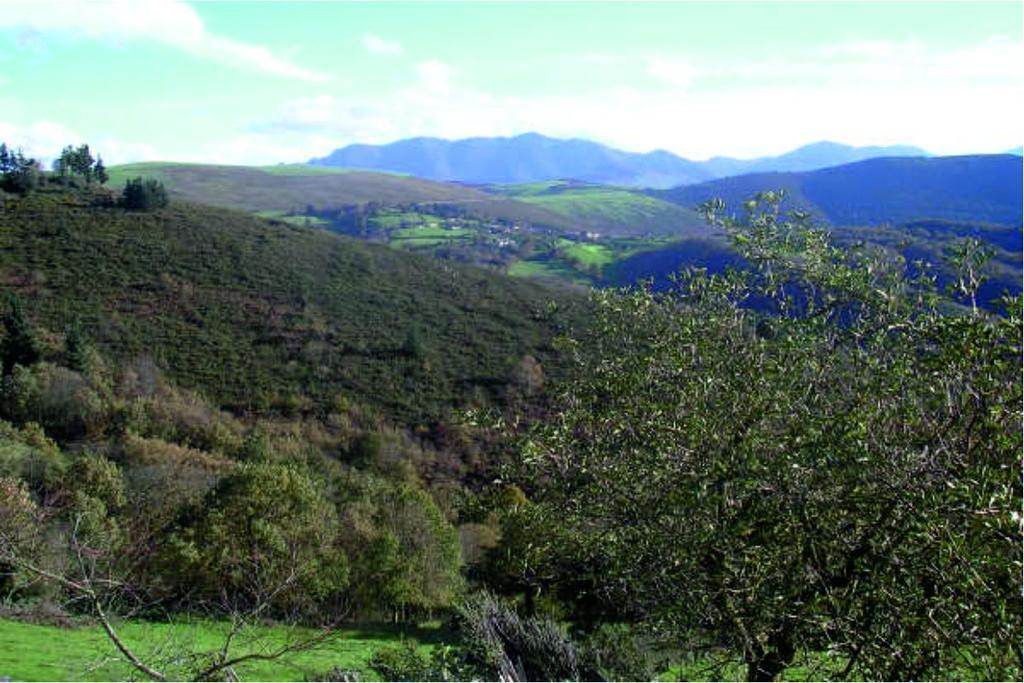 Apartamentos Rurales Casa Pajulon Tineo Luaran gambar